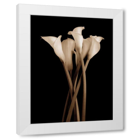 The Gathering White Modern Wood Framed Art Print by Rehner, John