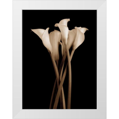 The Gathering White Modern Wood Framed Art Print by Rehner, John