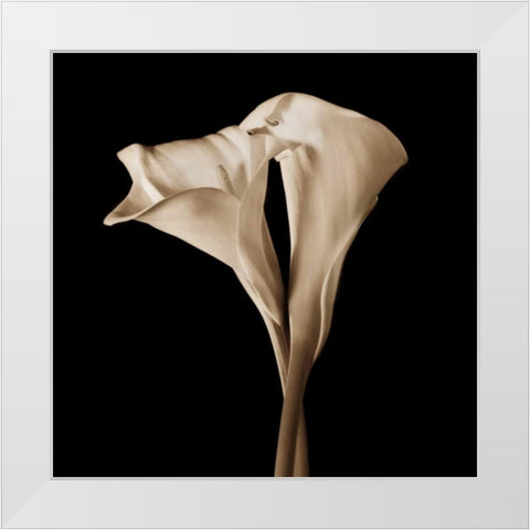 The Embrace White Modern Wood Framed Art Print by Rehner, John