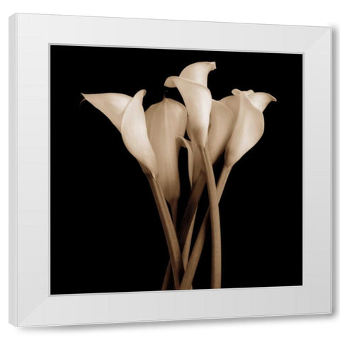 The Gathering White Modern Wood Framed Art Print by Rehner, John