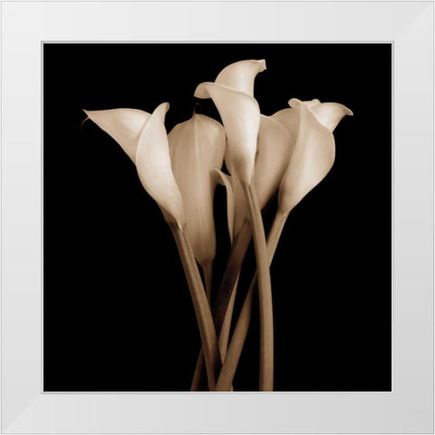 The Gathering White Modern Wood Framed Art Print by Rehner, John