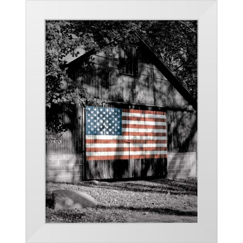 Made in the USA White Modern Wood Framed Art Print by Roffman, Richard