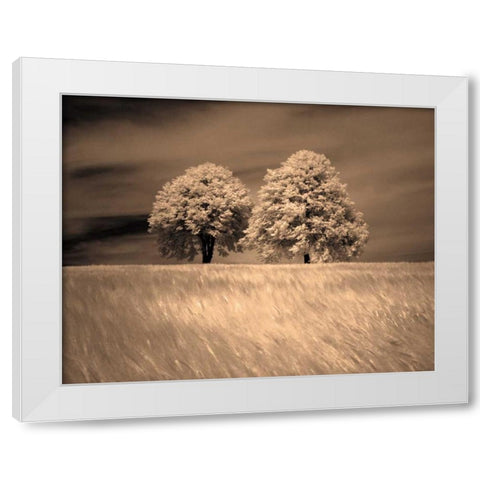 Together and Alone I White Modern Wood Framed Art Print by Szilagyi, Ily
