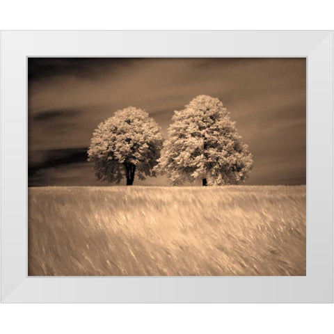 Together and Alone I White Modern Wood Framed Art Print by Szilagyi, Ily