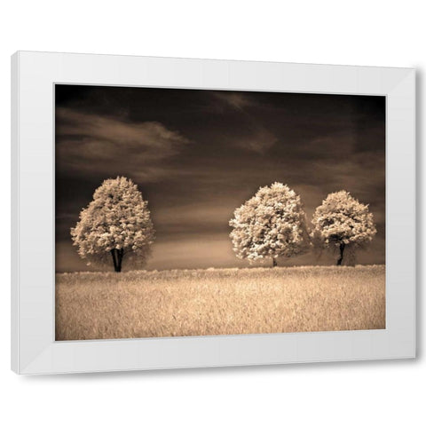 Together and Alone II White Modern Wood Framed Art Print by Szilagyi, Ily