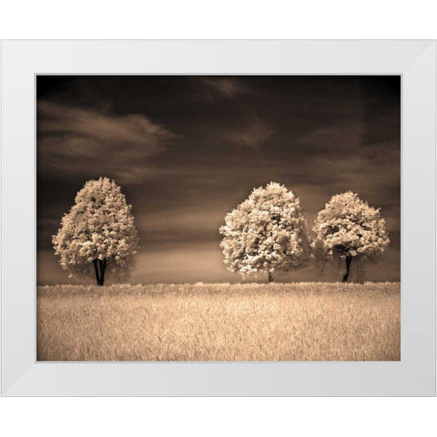 Together and Alone II White Modern Wood Framed Art Print by Szilagyi, Ily