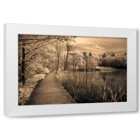 Take My Lead II White Modern Wood Framed Art Print by Szilagyi, Ily