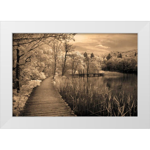 Take My Lead II White Modern Wood Framed Art Print by Szilagyi, Ily