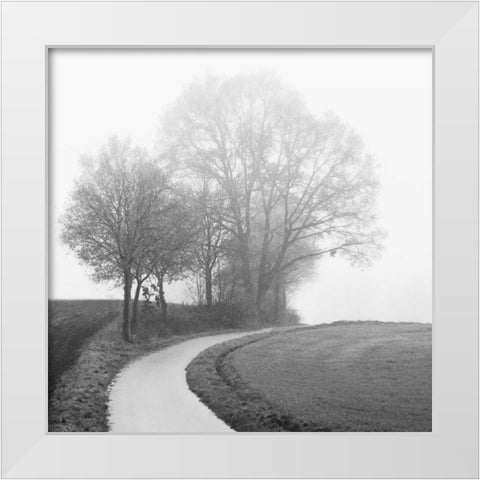 Foggy Afternoon White Modern Wood Framed Art Print by Szilagyi, Ily