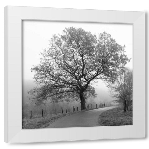 Foggy Afternoon White Modern Wood Framed Art Print by Szilagyi, Ily
