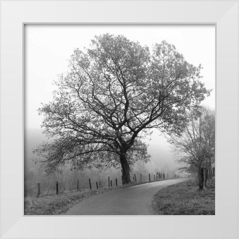Foggy Afternoon White Modern Wood Framed Art Print by Szilagyi, Ily