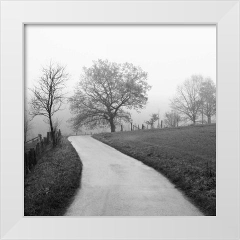 Foggy Afternoon White Modern Wood Framed Art Print by Szilagyi, Ily