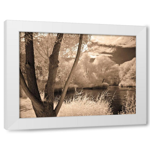 Lakefront View I White Modern Wood Framed Art Print by Szilagyi, Ily