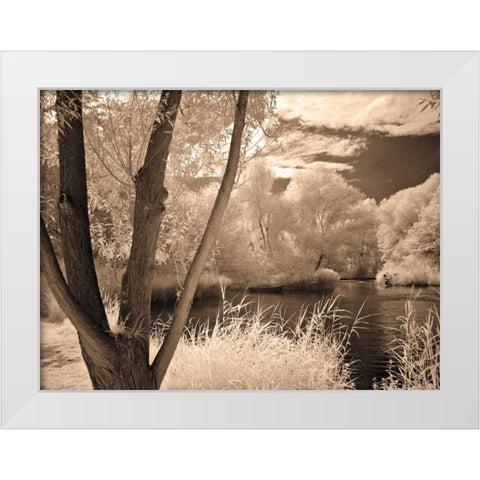 Lakefront View I White Modern Wood Framed Art Print by Szilagyi, Ily