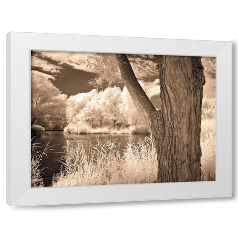 Lakefront View II White Modern Wood Framed Art Print by Szilagyi, Ily