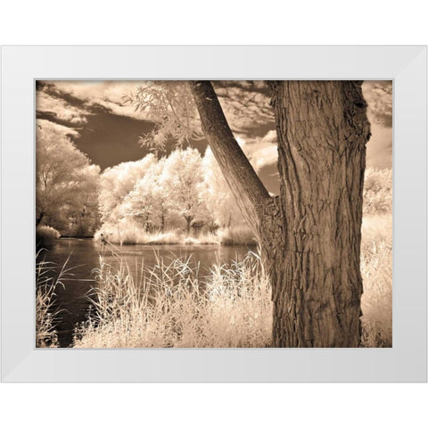 Lakefront View II White Modern Wood Framed Art Print by Szilagyi, Ily