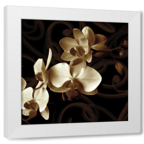 Grace White Modern Wood Framed Art Print by Szilagyi, Ily