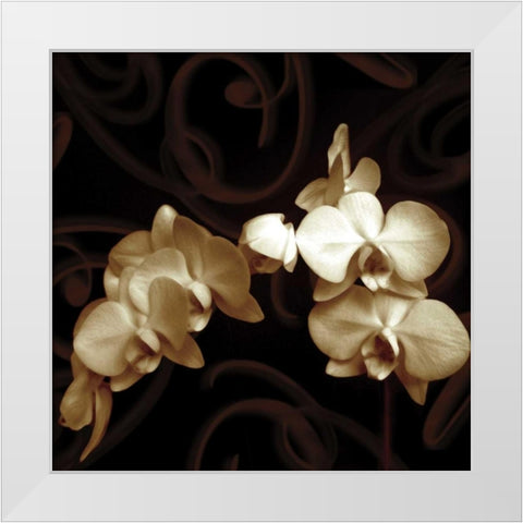 Elegance White Modern Wood Framed Art Print by Szilagyi, Ily