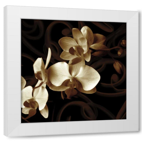 Grace White Modern Wood Framed Art Print by Szilagyi, Ily