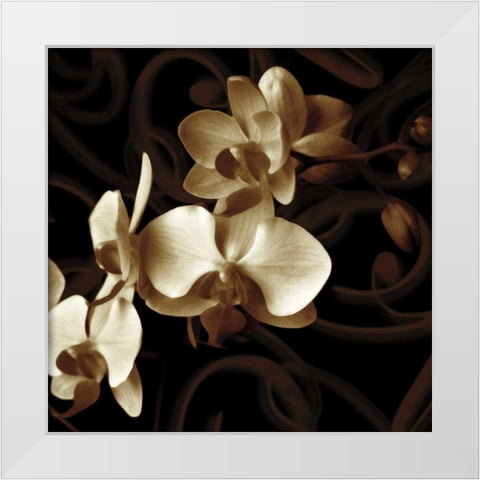 Grace White Modern Wood Framed Art Print by Szilagyi, Ily