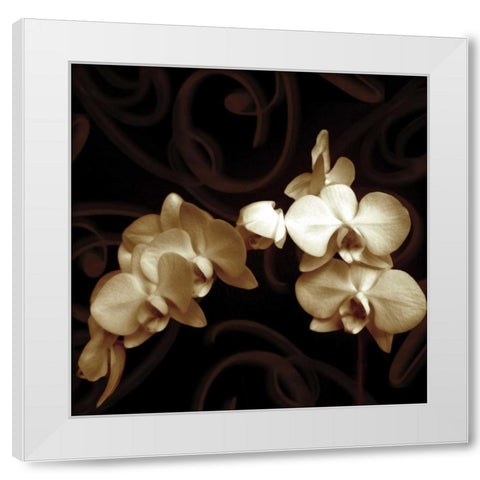 Elegance White Modern Wood Framed Art Print by Szilagyi, Ily