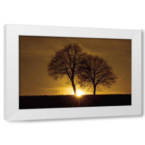A New Beginning White Modern Wood Framed Art Print by Szilagyi, Ily