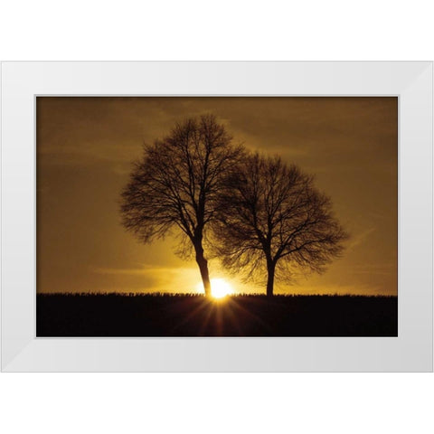 A New Beginning White Modern Wood Framed Art Print by Szilagyi, Ily