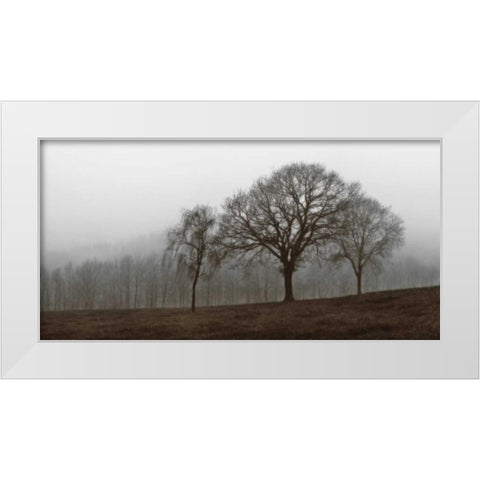 Autumn Fog White Modern Wood Framed Art Print by Szilagyi, Ily