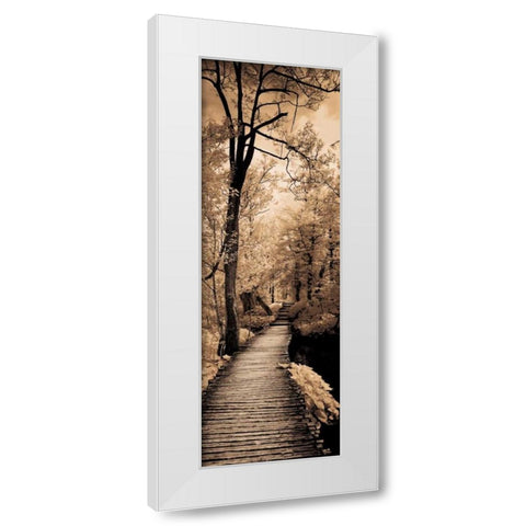 A Quiet Stroll I  White Modern Wood Framed Art Print by Szilagyi, Ily