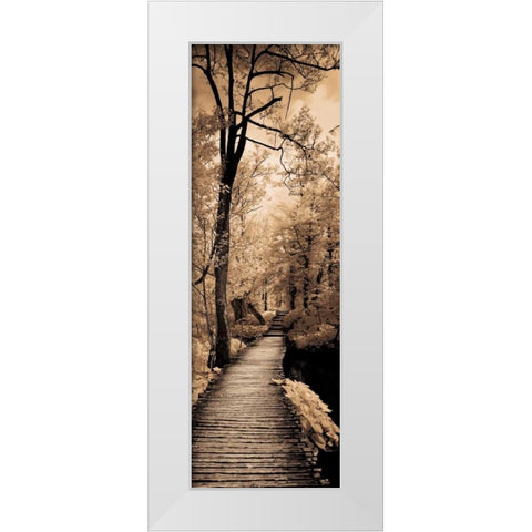 A Quiet Stroll I  White Modern Wood Framed Art Print by Szilagyi, Ily