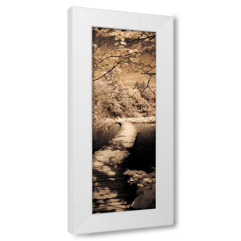A Quiet Stroll II White Modern Wood Framed Art Print by Szilagyi, Ily