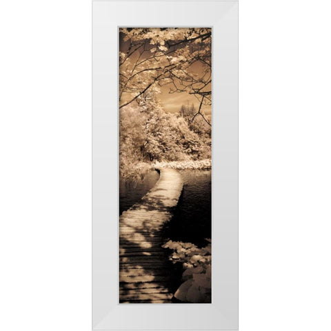 A Quiet Stroll II White Modern Wood Framed Art Print by Szilagyi, Ily