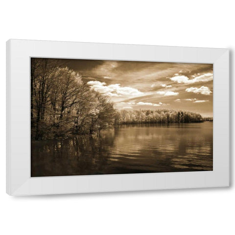 Natures Glory White Modern Wood Framed Art Print by Szilagyi, Ily