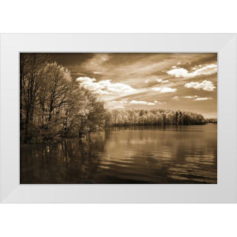 Natures Glory White Modern Wood Framed Art Print by Szilagyi, Ily