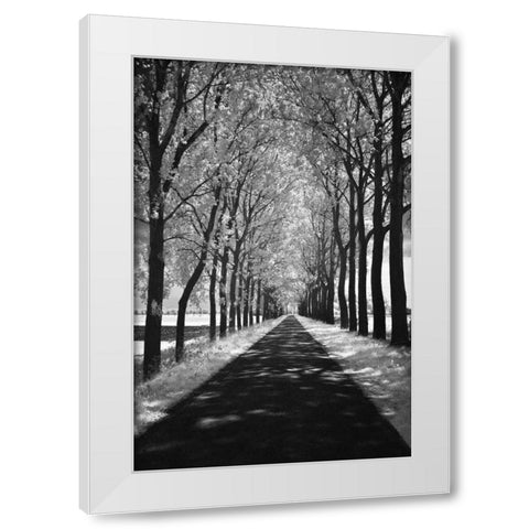 Follow Me White Modern Wood Framed Art Print by Szilagyi, Ily