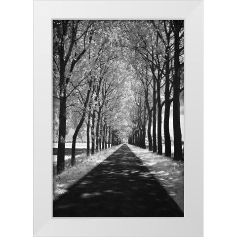 Follow Me White Modern Wood Framed Art Print by Szilagyi, Ily