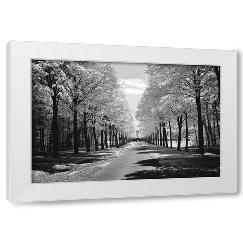 Sublime White Modern Wood Framed Art Print by Szilagyi, Ily