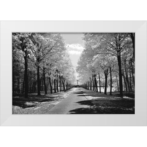 Sublime White Modern Wood Framed Art Print by Szilagyi, Ily