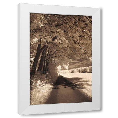 The Path Ahead White Modern Wood Framed Art Print by Szilagyi, Ily