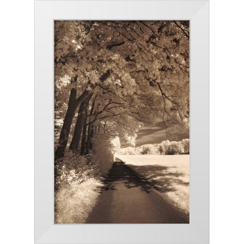 The Path Ahead White Modern Wood Framed Art Print by Szilagyi, Ily
