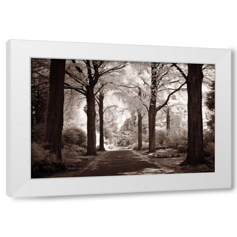 Arcadia White Modern Wood Framed Art Print by Szilagyi, Ily