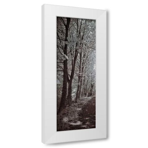 A Walk To Remember I White Modern Wood Framed Art Print by Szilagyi, Ily