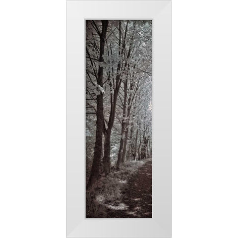 A Walk To Remember I White Modern Wood Framed Art Print by Szilagyi, Ily