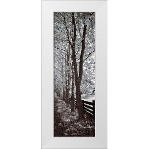 A Walk To Remember II White Modern Wood Framed Art Print by Szilagyi, Ily