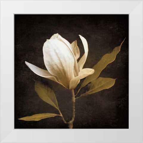 Grandeur White Modern Wood Framed Art Print by Szilagyi, Ily