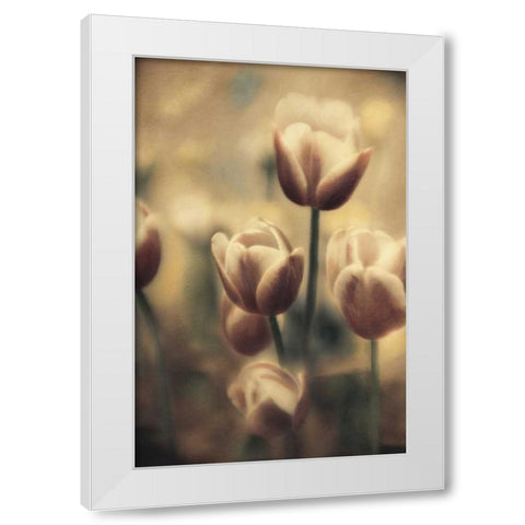 Tinted Tulips III White Modern Wood Framed Art Print by Schrack, Thea