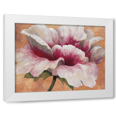 Pink Begonia White Modern Wood Framed Art Print by Torrontegui, Maria