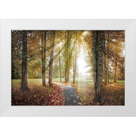 Following the Light White Modern Wood Framed Art Print by Celebrate Life Gallery