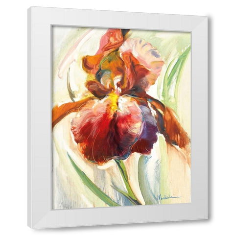 Colors of Iris II White Modern Wood Framed Art Print by Zielinska, Maria