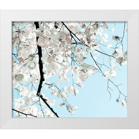 Linden Tree Branches White Modern Wood Framed Art Print by Duealberi, Antonia and Fabio